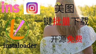 Instagram照片下载  Instagram图片下载  一键批量下载ins照片  instaloader  开源免费  ins照片下载  No0017 [upl. by Janel400]