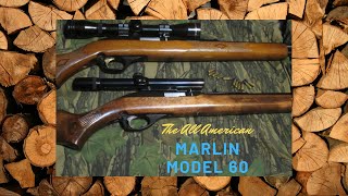 The All American Marlin model 60 [upl. by Ahsiekal]