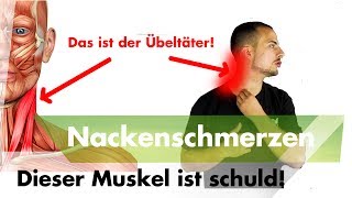 Nacken und Kopfschmerzen  Löse JETZT diesen Muskel [upl. by Gally]