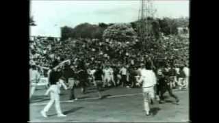 Football Hooligan Documentary [upl. by Onitselec]