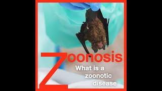 Zoonosis What is a Zoonotic Disease [upl. by Namya]