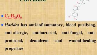 Curcuma longa Turmeric  by Dr Vartika Jain [upl. by Janerich]