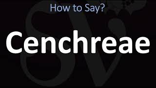 How to Pronounce Cenchreae CORRECTLY [upl. by Noman]