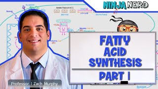 Metabolism  Fatty Acid Synthesis Part 1 [upl. by Whitson426]