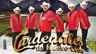 CARDENALES DE NUEVO LEÓN  PUROS CORRIDOS EXITOS MIX [upl. by Kcirdorb730]