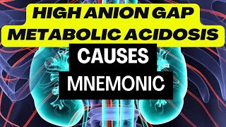 High Anion Gap Metabolic Acidosis HAGMA Causes  Easy Mnemonics [upl. by Klute213]