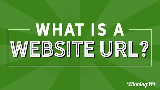 What Is A Website URL [upl. by Iinde884]