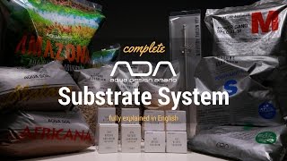 ADA Basics  Substrate System english [upl. by Guntar343]