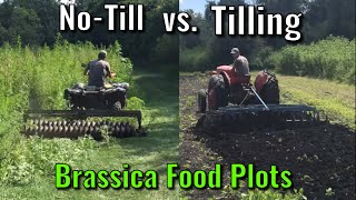 Planting Brassica Food Plots  NoTill vs Tilling [upl. by Tailor]