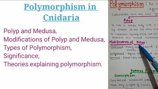 Polymorphism in Cnidaria with theories [upl. by Kleon]