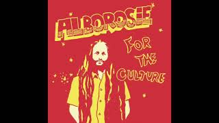 Alborosie  For The Culture Official Audio [upl. by Sailesh]