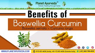 Benefits of Boswellia Boswellia serrata  Curcumin Curcuma longa [upl. by Zysk]