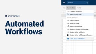 Automated Workflows Overview [upl. by Esimaj]