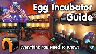 ARK Egg Incubator Guide And How To Use It ARK [upl. by Nailimixam]