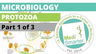 Protozoa  Microbiology  USMLE STEP 1  Part 1 of 3 [upl. by Odlaumor]