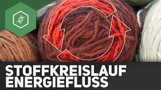 Stoffkreisläufe und Energiefluss  Ökologie [upl. by Ansela]