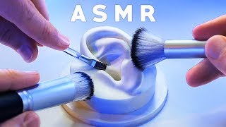 ASMR XXL Brushing amp Brushes ONLY Compilation NO TALKING Tingle Study Sleep Relax [upl. by Annette]