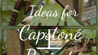 Interesting HomeBased Capstone Project Ideas for Distance Learning [upl. by Elin]