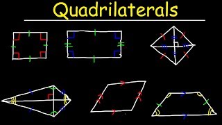 Quadrilaterals  Geometry [upl. by Ennairej]