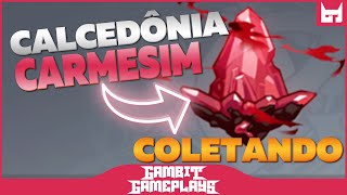 Calcedônia Carmesim  Usando o Mapa Interativo para coletar  pegar  Genshin Impact [upl. by Nairdad]