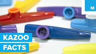 Why the Kazoo is Americas Secret Musical Weapon [upl. by Ailb]