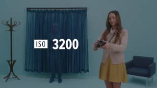 What is ISO  Photography Basics Explained [upl. by Enined]