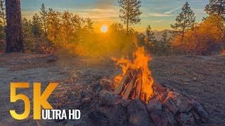 Peaceful Campfire at Sunrise  5K Nature Relaxation Video with Crackling Fire Sounds [upl. by Ileyan]