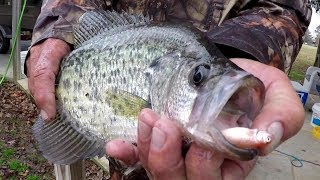 Crappie Fishing With A Bobber and Live Minnows [upl. by Yvon198]