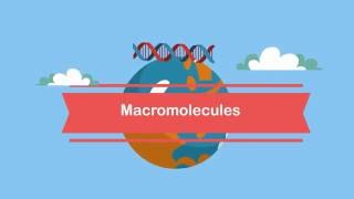 MacromoleculesA Beginners Guide [upl. by Barber]