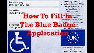 How To Fill In The Blue Badge Application 2025 [upl. by Eniamat]