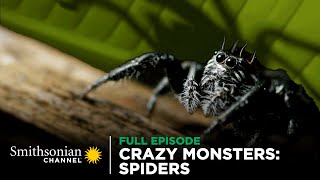 Crazy Monsters Spiders 🕷️ FULL EPISODE  Smithsonian Channel [upl. by Nahshunn]