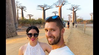 La avenida de los baobabs  MADAGASCAR 🇲🇬 [upl. by Amzaj]