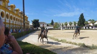 Jerez de la Frontera Spain  Andalusian Horse show museum beautiful grounds [upl. by Anirbus384]