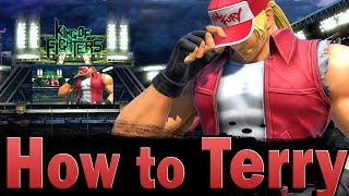 Smash Ultimate How to Terry [upl. by Walke]