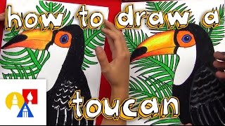 How To Draw A Realistic Toucan [upl. by Montano457]