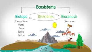 EL BIOTOPO Y LA BIOCENOSIS [upl. by Aldas]