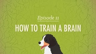 How to Train a Brain Crash Course Psychology 11 [upl. by Giaimo]