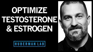 7 BEST FOOD to increase TESTOSTERONE level naturally [upl. by Arodoet867]