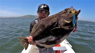 Catch and Cook on a Boat ALONE California Halibut [upl. by Squire864]