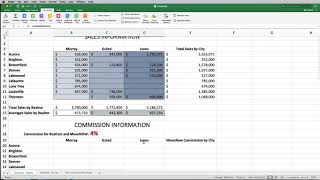 CIS 118  Excel Capstone Project [upl. by Repsag]