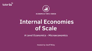 Internal Economies of Scale  A Level and IB Economics [upl. by Ries293]