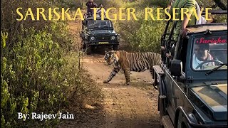 Sariska Tiger Reserve [upl. by Phelan739]