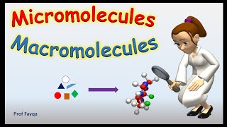 Micromolecules And Macromolecules Updated [upl. by Kenrick115]