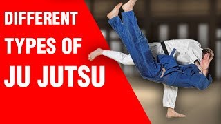 Different Types of Ju Jutsu  ART OF ONE DOJO [upl. by Coppola]