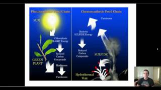 Types of Autotrophs [upl. by Ardnaskela]