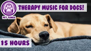 How to Relax my Dog in my House New Calming Music Has Helped Over 4 Million Pets  Pet Therapy [upl. by Llib]