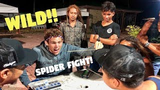 Filipino SPIDER FIGHTING Is Wild PHILIPPINES FUN [upl. by Htiekel]