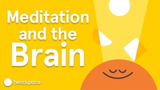 Meditations Impact on the Brain  Expert Videos [upl. by Kellby602]