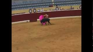 Bullfighting in Spain [upl. by Esoryram130]