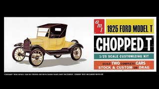 1925 Ford Stock Model T 125 Scale AMT 1167 Model Kit Build amp Review [upl. by Elvyn303]